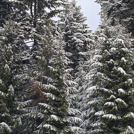 затишні карпати)) * Werchowyna