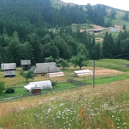 затишні карпати)) *