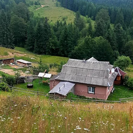 затишні карпати))