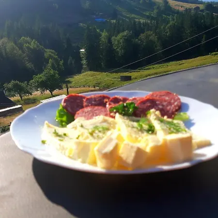 затишні карпати)) Privatunterkunft Werchowyna