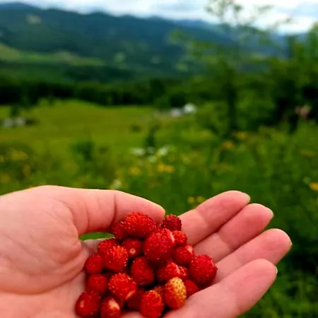 Проживание в семье затишні карпати)) Верховина