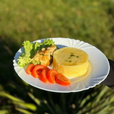 затишні карпати)) *