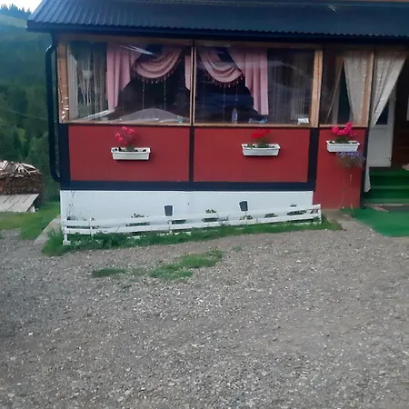 Проживание в семье затишні карпати)) *