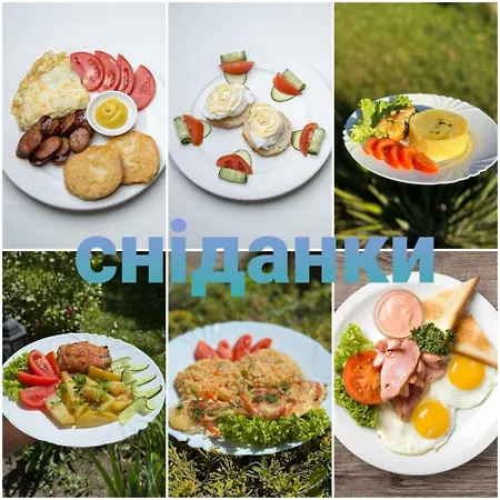 затишні карпати)) *