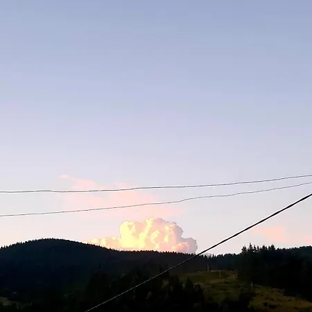 Проживание в семье затишні карпати))