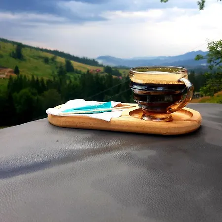 Privatunterkunft затишні карпати)) Werchowyna