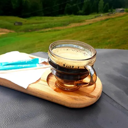 затишні карпати))