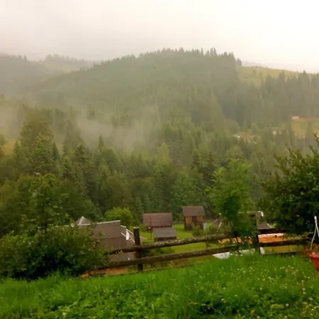 Проживание в семье затишні карпати))