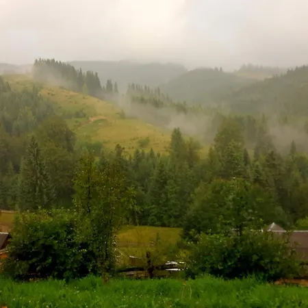 Privatunterkunft затишні карпати)) Werchowyna