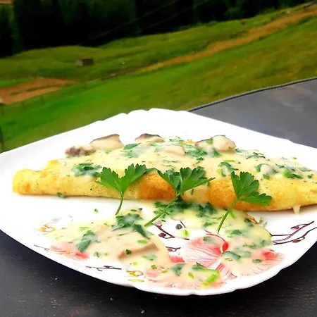 затишні карпати)) Проживание в семье *