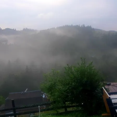 затишні карпати)) Проживание в семье Верховина