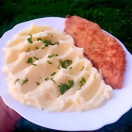 затишні карпати)) Проживание в семье