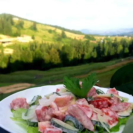 затишні карпати)) Проживание в семье