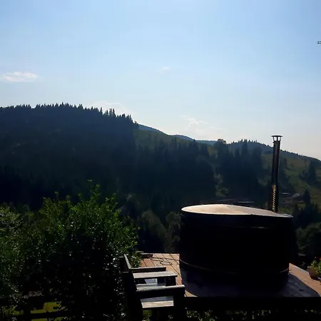 Проживание в семье затишні карпати))