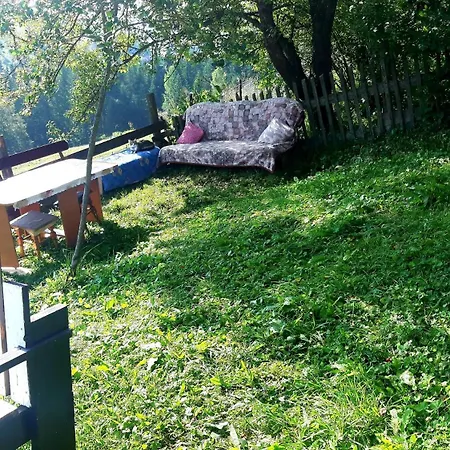 Проживание в семье затишні карпати)) *