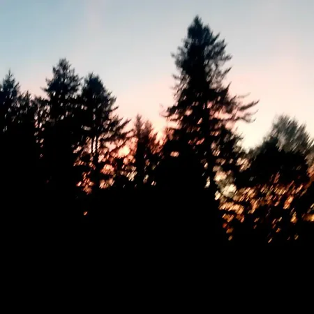 затишні карпати)) *