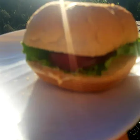 затишні карпати))