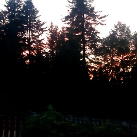 затишні карпати)) Privatunterkunft Werchowyna