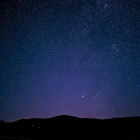 Проживание в семье затишні карпати)) *