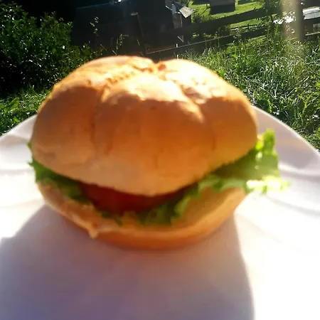 затишні карпати)) *