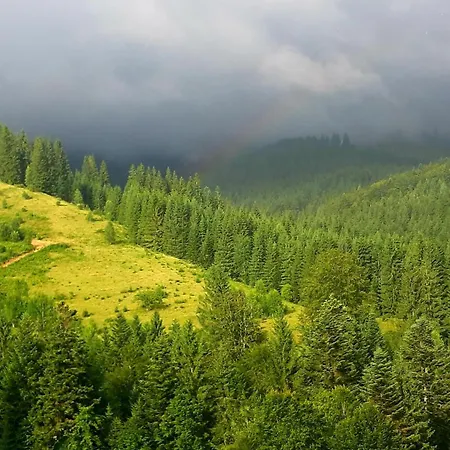 затишні карпати))