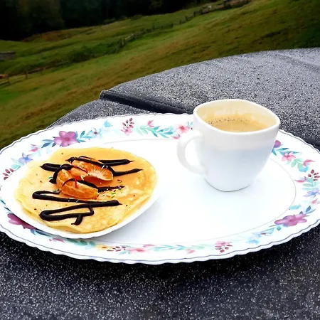 затишні карпати))