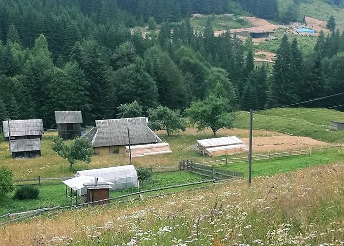 затишні карпати)) *