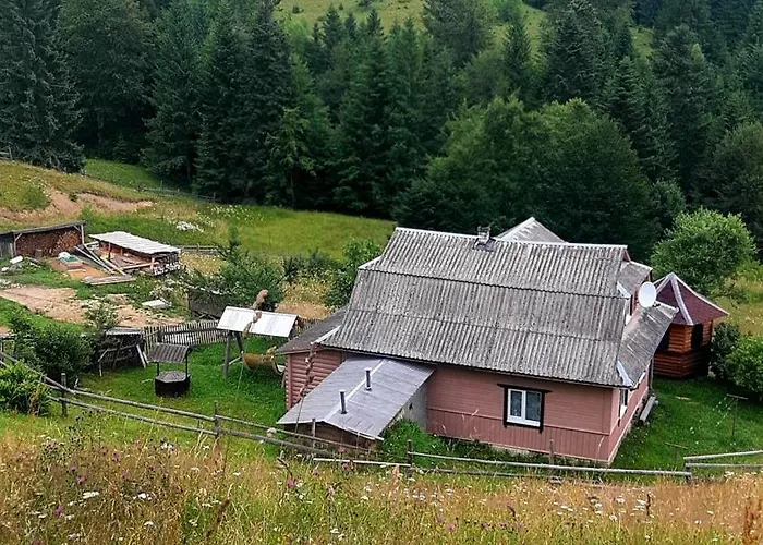 затишні карпати))