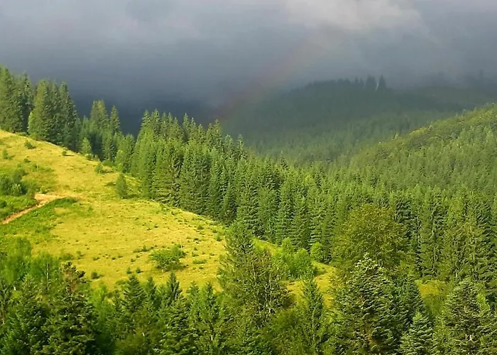 затишні карпати))